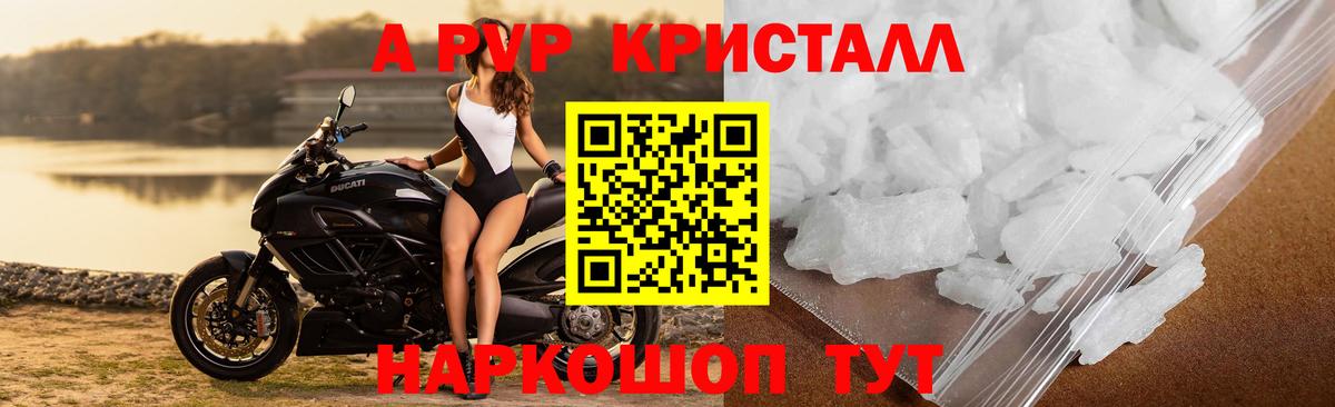 A PVP СК КРИС Зеленогорск