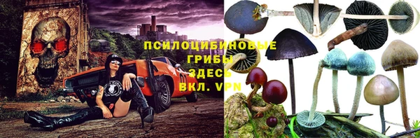 PSILOCYBIN Протвино