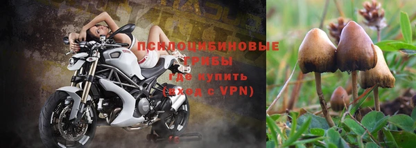 гашиш Абинск