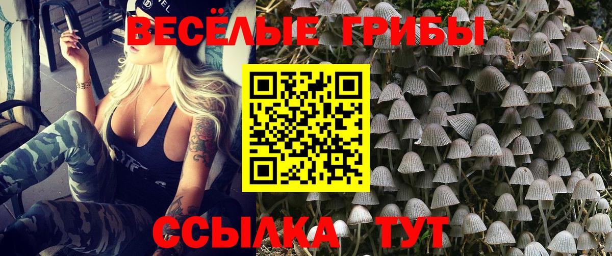 Галлюциногенные грибы мицелий  Вход с VPN  Зеленогорск 