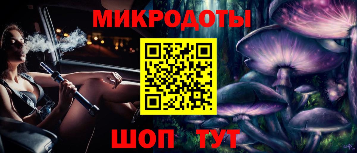 Галлюциногенные грибы Psilocybine cubensis Зеленогорск